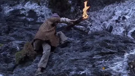 Facing the Giant Bees (2011)