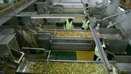 BBC - Inside the Factory Series 6: Cider (2020)