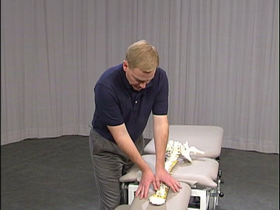 Manual Physical Therapy of the Spine
