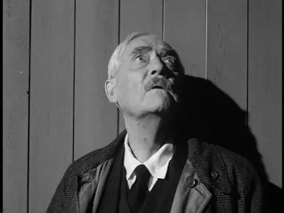 Wild Strawberries (1957) - (The Criterion Collection - #139) [DVD9] [2002] 