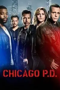 Chicago P.D. S06E17