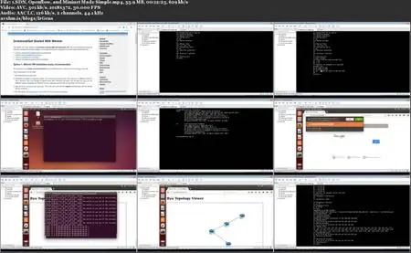 SDN, Openflow, and Mininet Made Simple