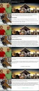 Dog Behavior & Dog Training Fix Problems & Animal Behavior