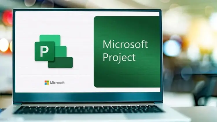 Developing Professional Project Plans Through MS Project AvaxHome