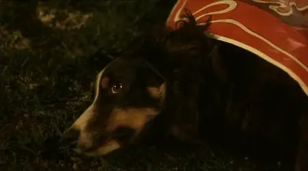 Kruimeltje / Little Crumb (1999)