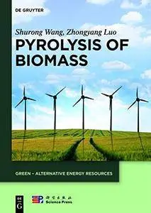 Pyrolysis of Biomass