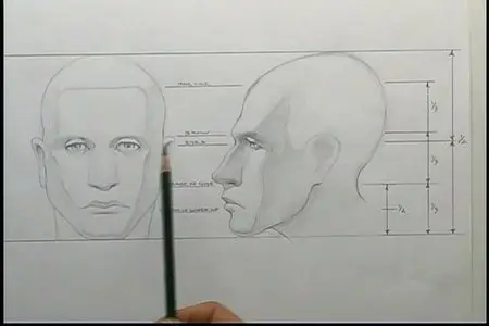 Bob Cato - Drawing and Painting The Adult Male Head- 3 DVDs [repost]