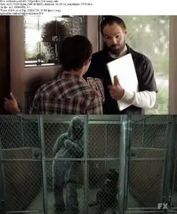 Wilfred (US) S01E03