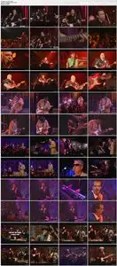 Various - Blind Pig Records - 30th Anniversary Collection (2006)