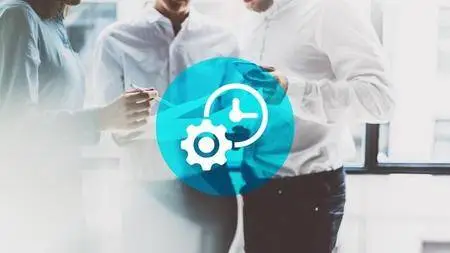 Project Management Professional (PMP)