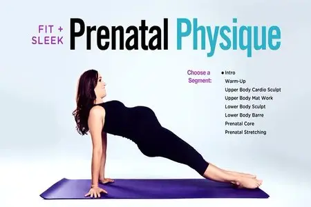 Leah Sarago: Fit + Sleek Prenatal Physique (2014)