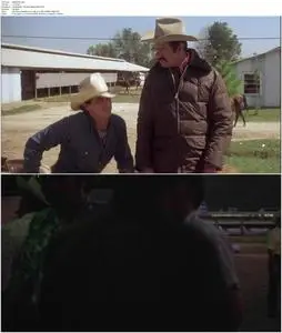 Casey's Shadow (1978)