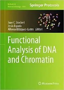 Functional Analysis of DNA and Chromatin (Methods in Molecular Biology)