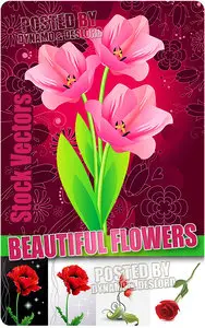 Beautiful flowers - Stock Vectors