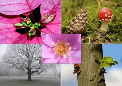 Super Naturel Wallpapers Archive 1