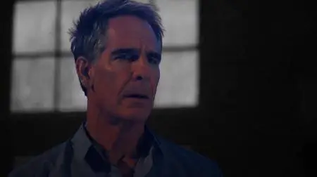 NCIS: New Orleans S03E13