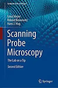 Scanning Probe Microscopy: The Lab on a Tip