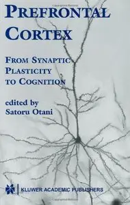 Prefrontal Cortex: From Synaptic Plasticity to Cognition by Satoru Otani