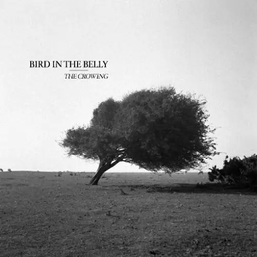 Bird In The Belly - The Crowing (2018)