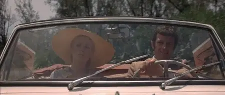 La sirène du Mississipi / Mississippi Mermaid (1969)