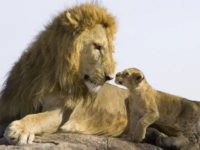 World In Photo 255