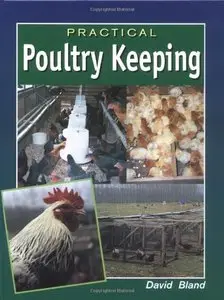 Practical Poultry Keeping