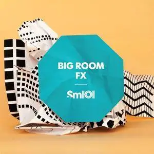 Sample Magic SM101 Big Room FX WAV