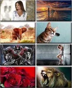Computer Desktop Wallpapers Collection. Part (632)
