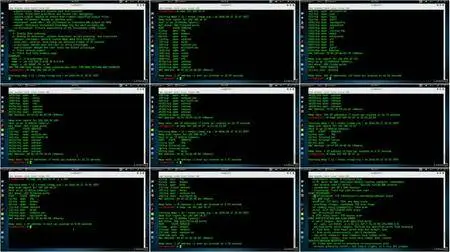 Video2Brain - Netzwerke härten mit Kali Linux