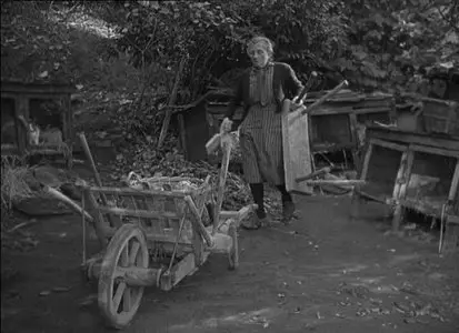Jacques Demy - Le sabotier du Val de Loire (1955)