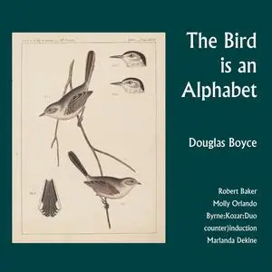 Robert Baker, Molly Orlando, Byrne-Kozar-Duo, counter)induction, Marlanda Dekine - Boyce: The Bird is an Alphabet (2023)[24/96]