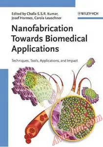 Nanofabrication Towards Biomedical Applications: Techniques, Tools, Applications, and Impact (repost)