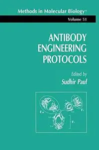 Antibody Engineering Protocols