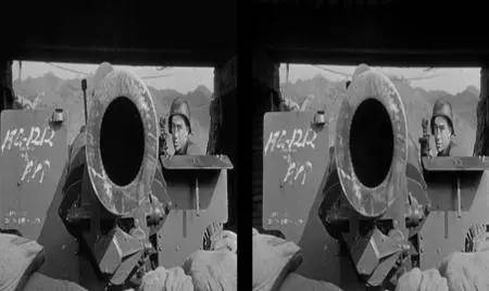 Cease Fire! (1953) + [3D]