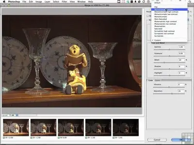 Adobe Photoshop CS5 for Photographers Video Training [Repost]