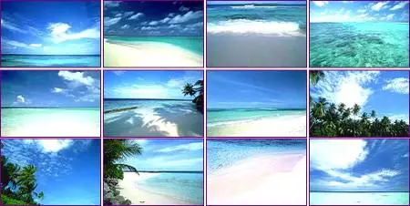 Shibvisi Disc Vol 001: Sea And Sky