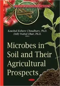 Microbes in Soil and Their Agricultural Prospects