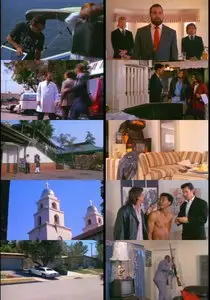 Samurai Cop (1989)