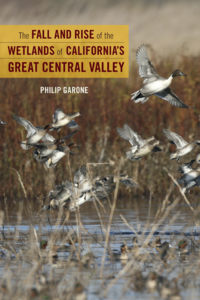 The Fall and Rise of the Wetlands of California’s Great Central Valley