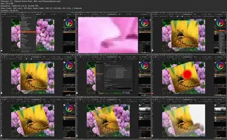 Affinity Photo Grundkurs