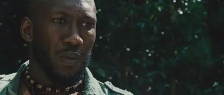 Predator (2010)