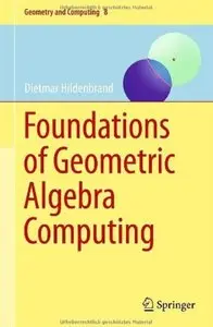 Foundations of Geometric Algebra Computing (repost)