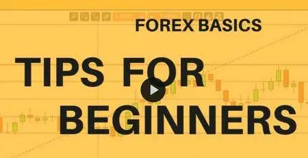 Forex Basics: Trading Tips that Worth Your Time
