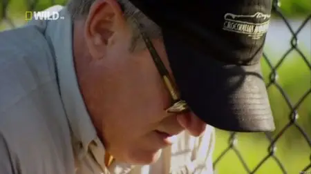 National Geographic - Phantom Killer Mystery (2012)