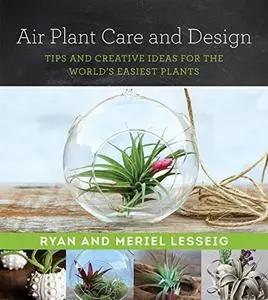 Air Plant Care and Design: Tips and Creative Ideas for the World's Easiest Plants (Repost)