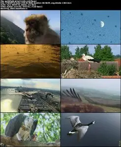 Earthflight S01E03