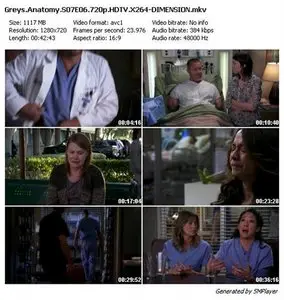 Greys Anatomy S07E06