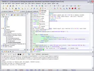 WinEdt 6.0 Build 20110119