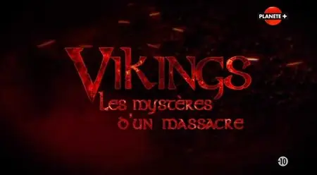 (Planète) Vikings, les mystères d'un massacre (2014)