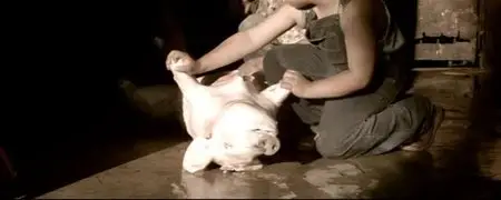 La soga (2009)